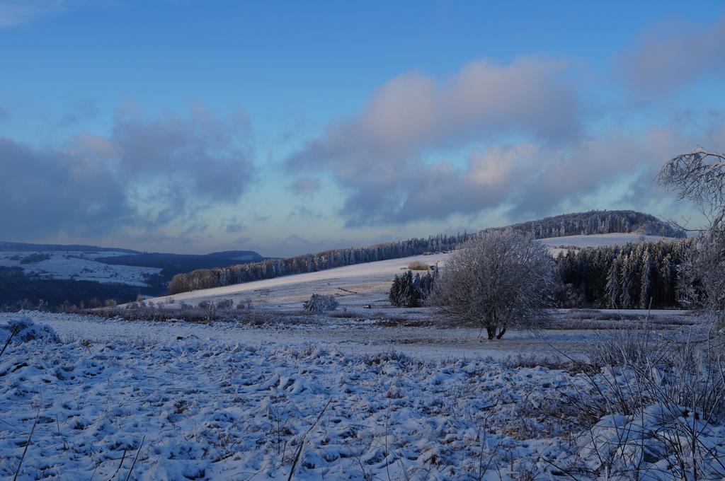 Gasthaus & Pension Lisas-Welt Wasserkuppe Ehrenberg  Exteriér fotografie